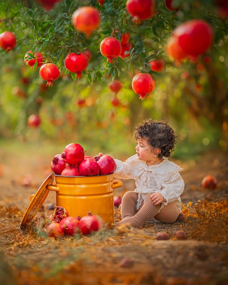 Photograph by Arie Abramov