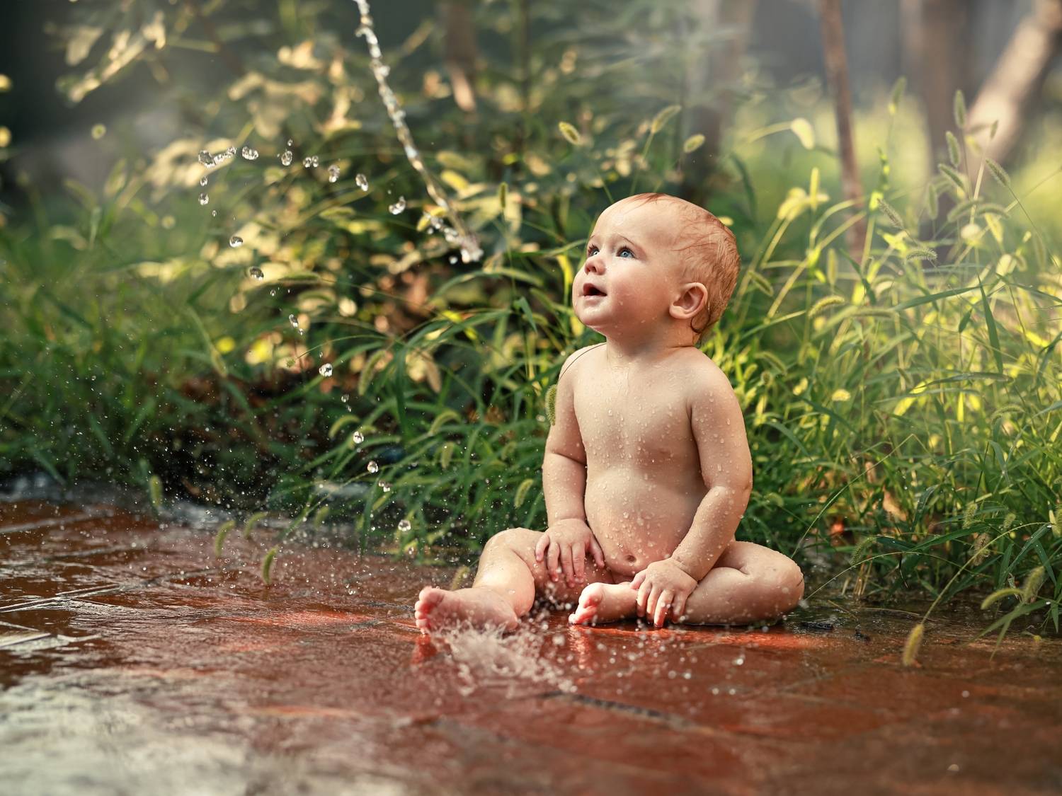 Photo #13024231