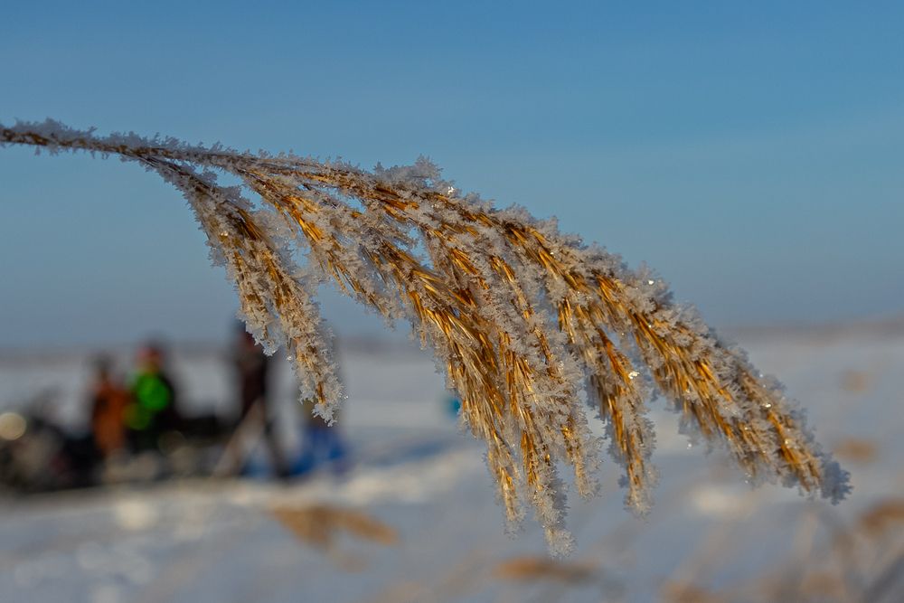 Фотография автора Михаил Наволокин