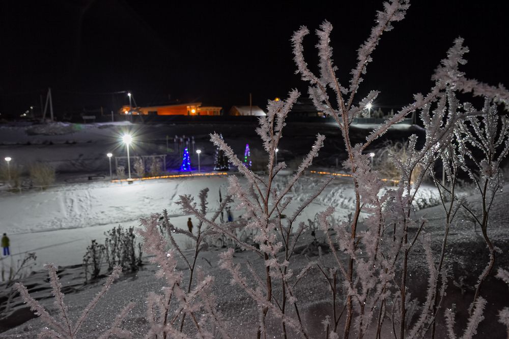 Фотография автора Михаил Наволокин