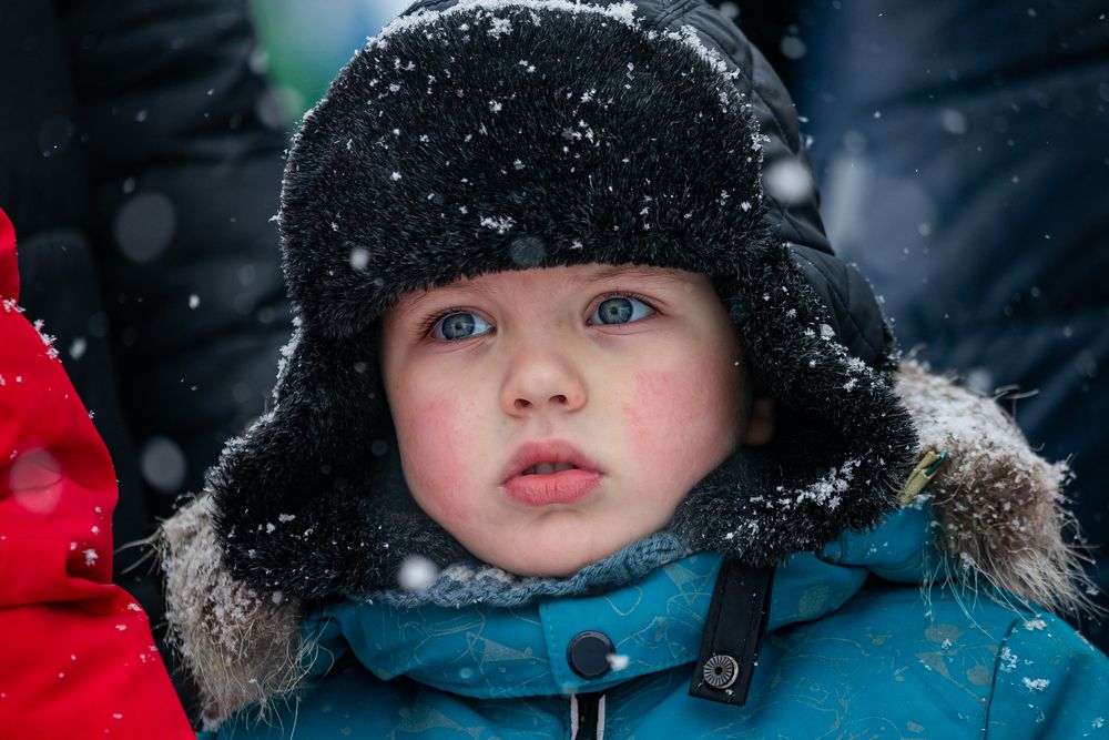 Фотография автора Михаил Наволокин