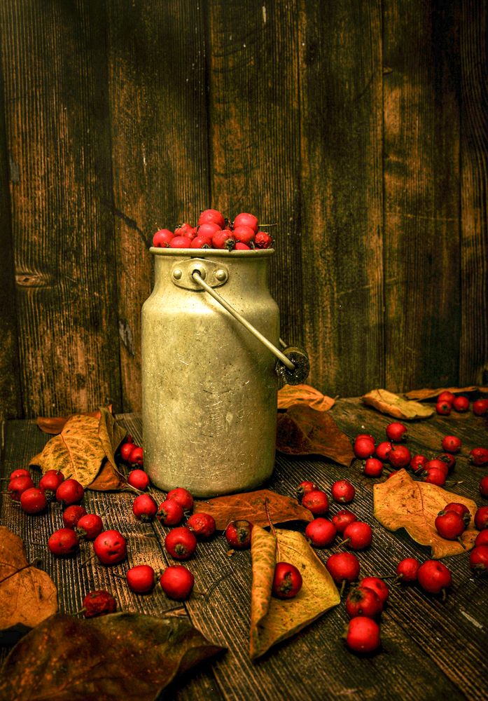 Photograph by Алексей Шевцов