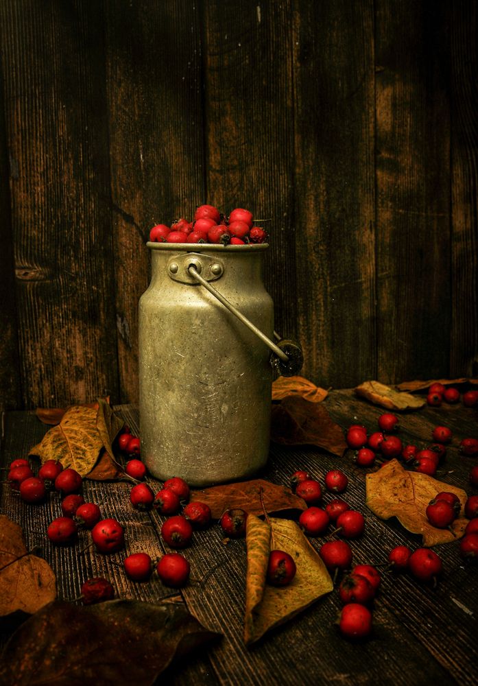 Photograph by Алексей Шевцов