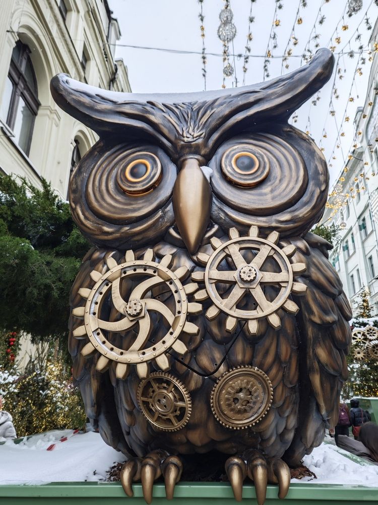 Photograph by Елена Шоколенко