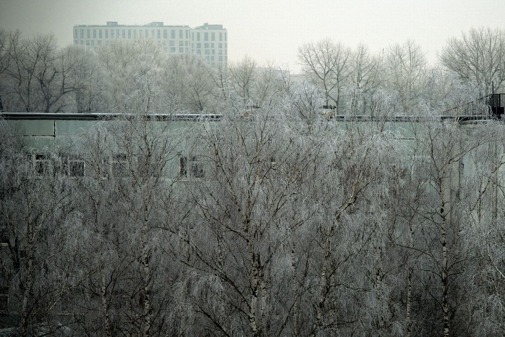 Photograph by Михаил Косолапов