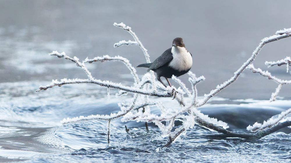 Photograph by Jørgen Hovde