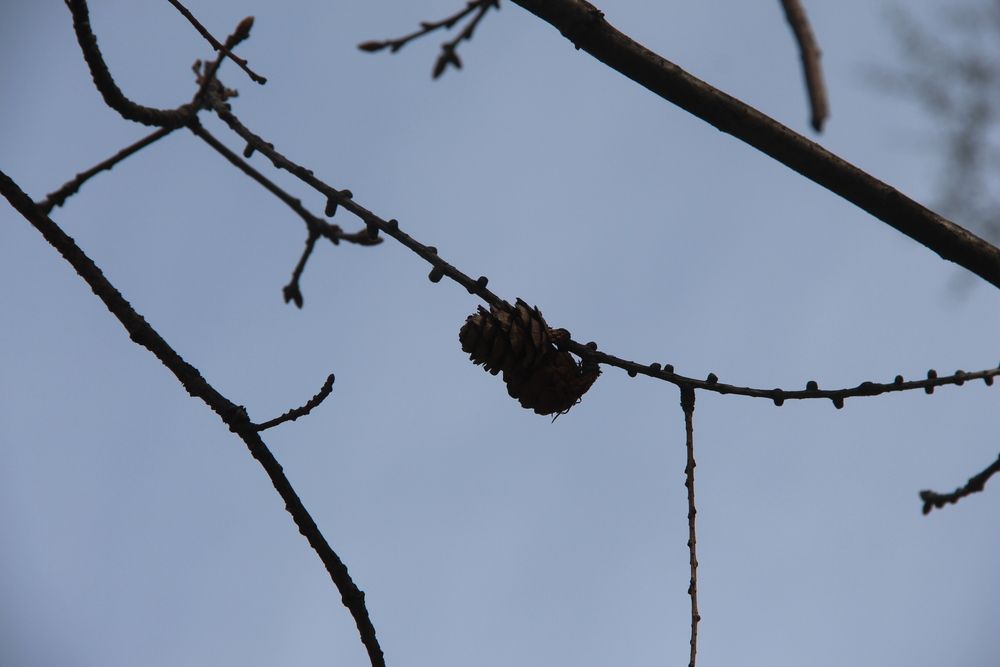 Photograph by Валентина