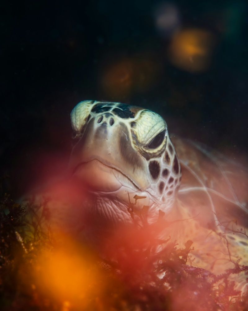 Photograph by Magali Márquez