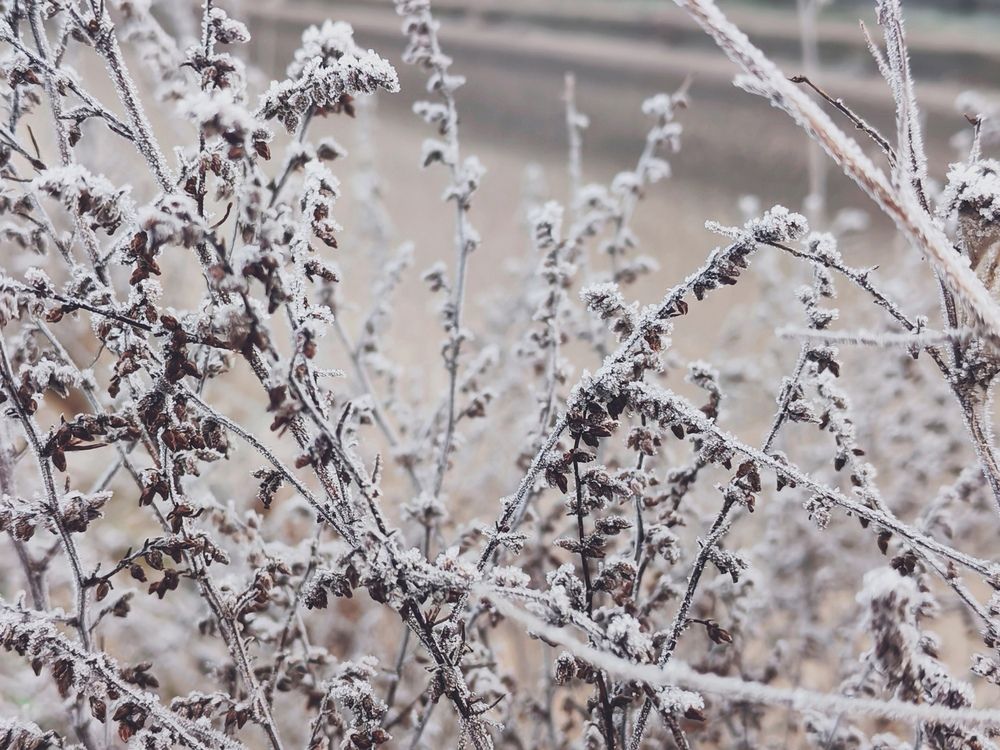 Photograph by Александра Пецевич