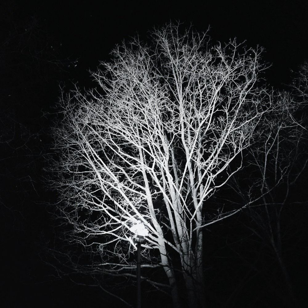 Photograph by Анастасия Юрьева