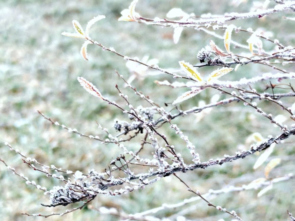 Photograph by Александра Пецевич