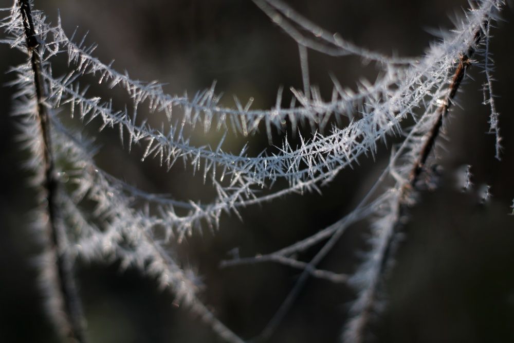 Photograph by Инна Карасева