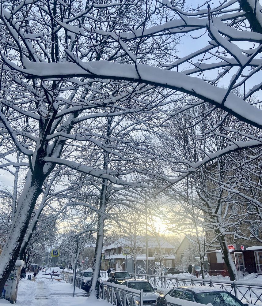 Photograph by Elena Ibragimova