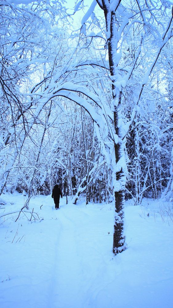 Photograph by Иван Бортяков