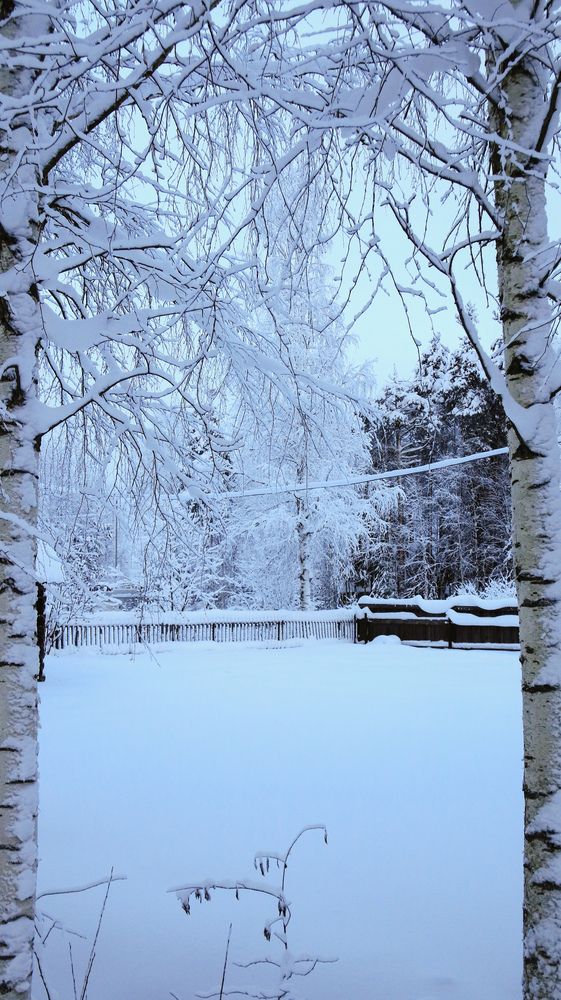 Photograph by Иван Бортяков