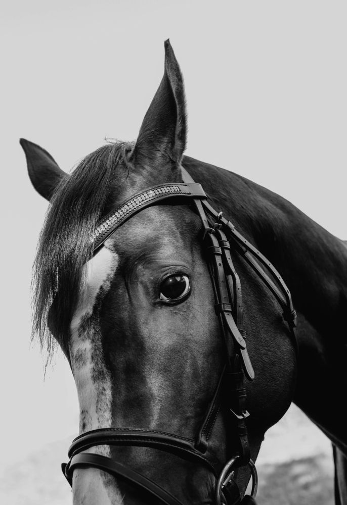 Фотография автора KattyFox