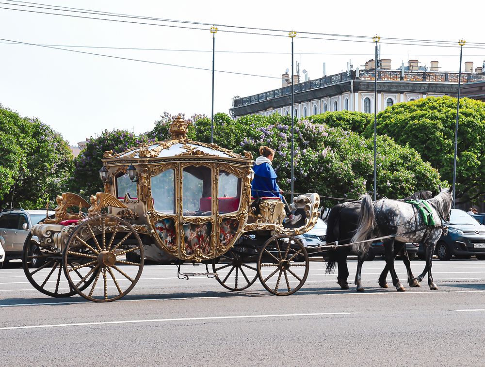 Фотография автора Елизавета Синицына