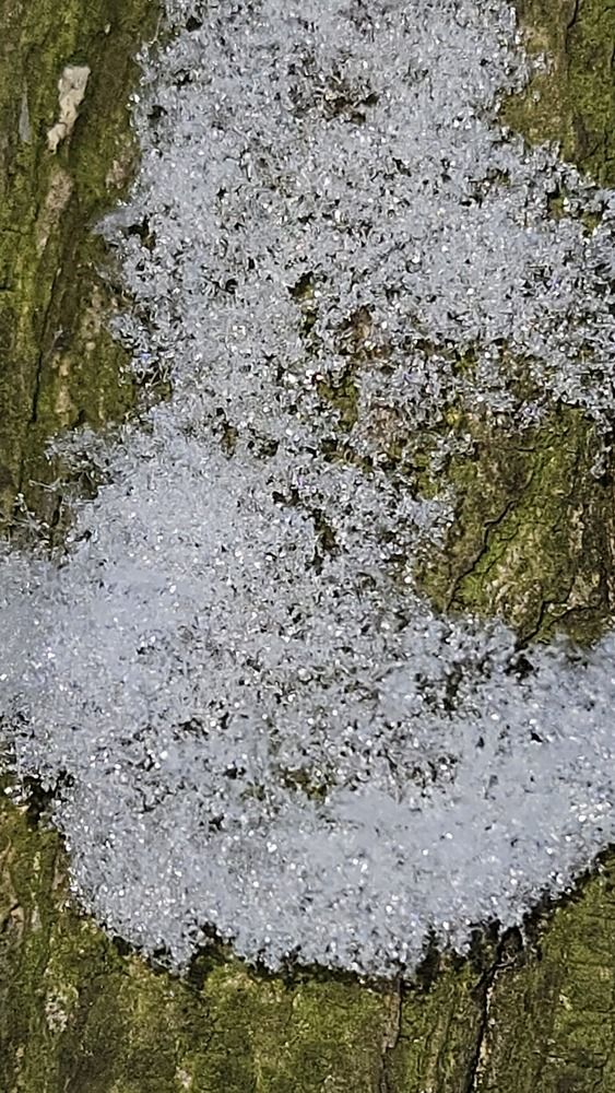 Photograph by Зина Хаимова