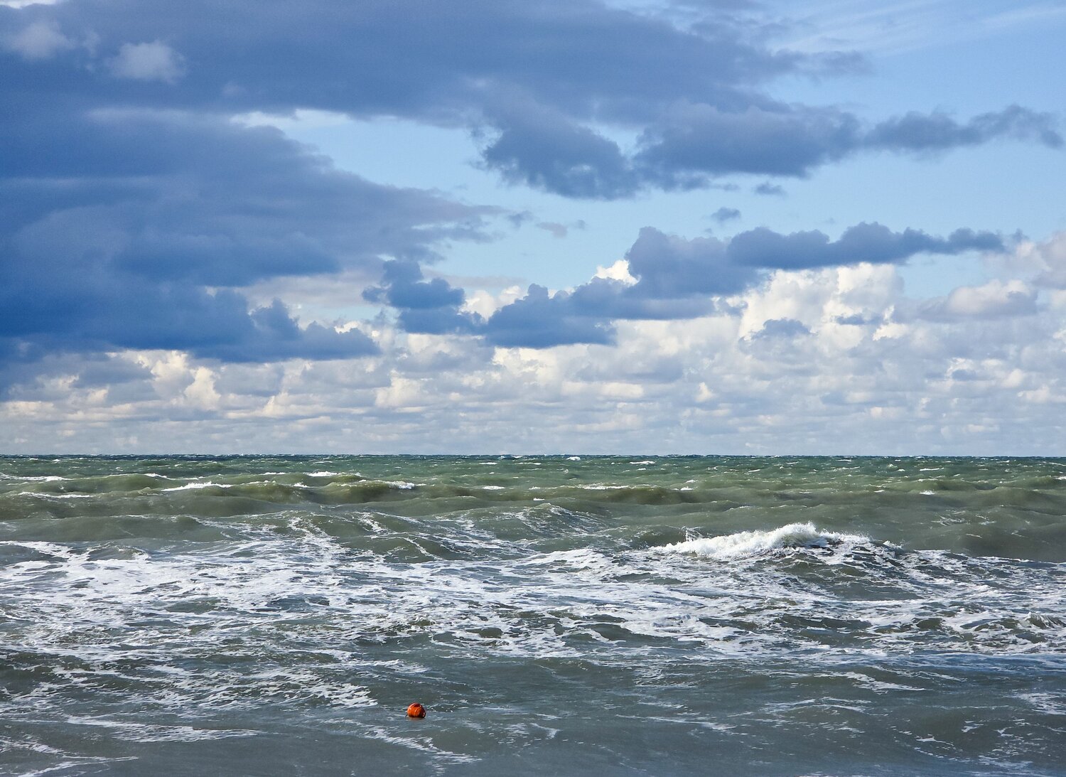 Photo #13024515