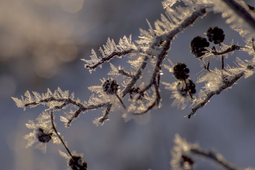 Photograph by Елена Кошелева