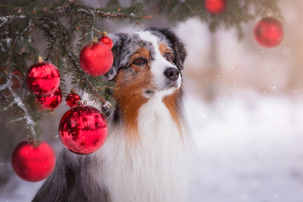 Photograph by Наталья Степанова