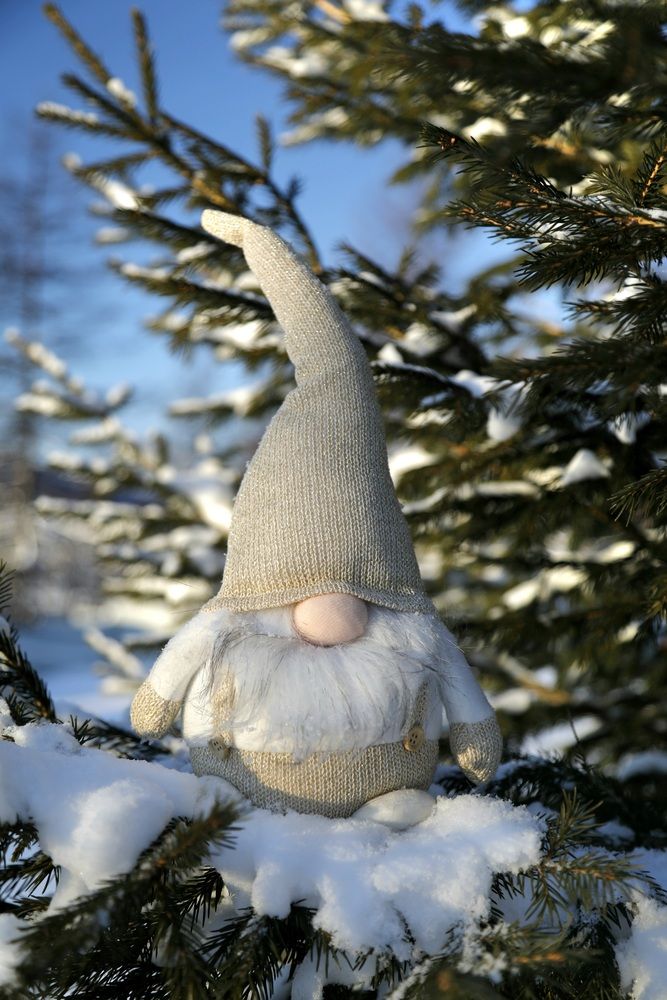 Photograph by Лариса Ким