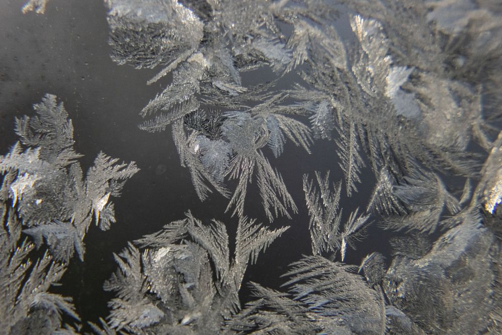 Photograph by Елена Перминова