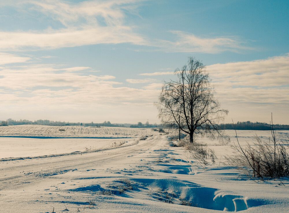 Photograph by Valery Yalovik