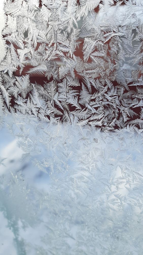 Photograph by Мария Грибкова