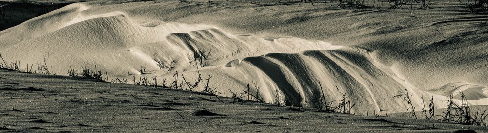 Photograph by Еловик Валерий