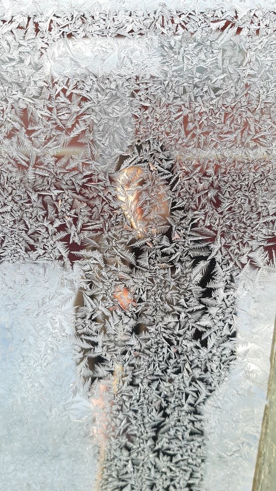 Photograph by Мария Грибкова