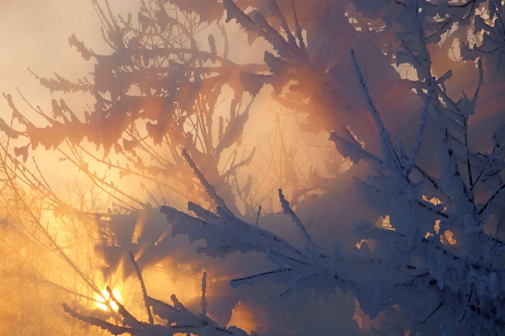 Photograph by Ирина Щеглова