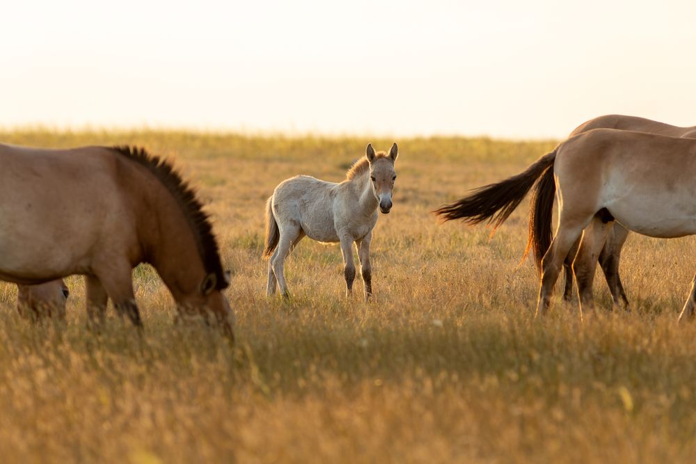 Photograph by Евгения Севрюкова