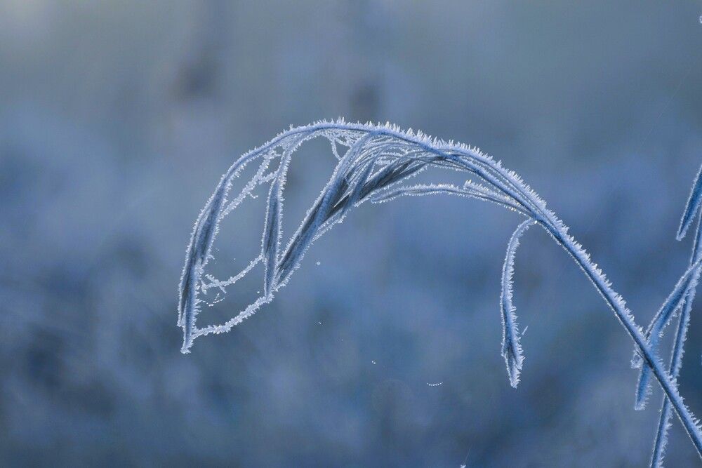 Photograph by Ольга Струкалина