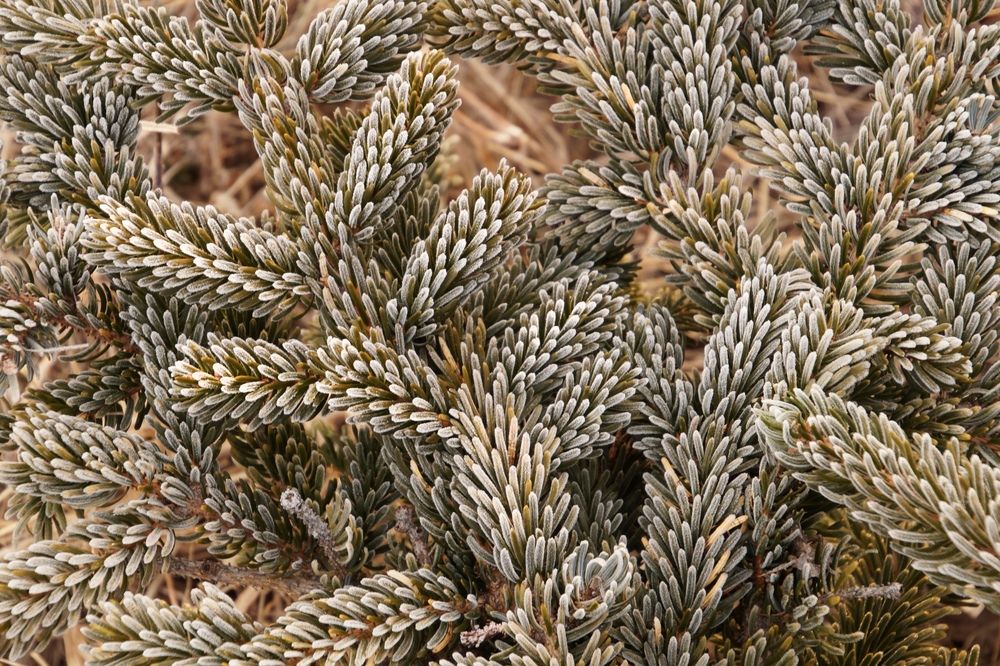 Photograph by Ирина Щеглова