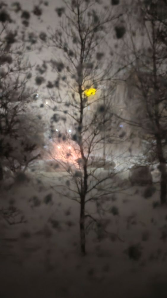 Фотография автора Наталья Шендяпина