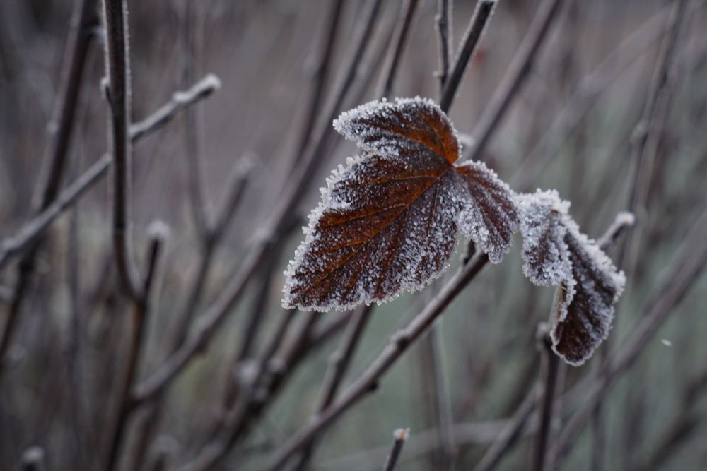 Photograph by Наталья Мубаракшина