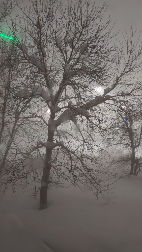 Фотография автора Наталья Шендяпина