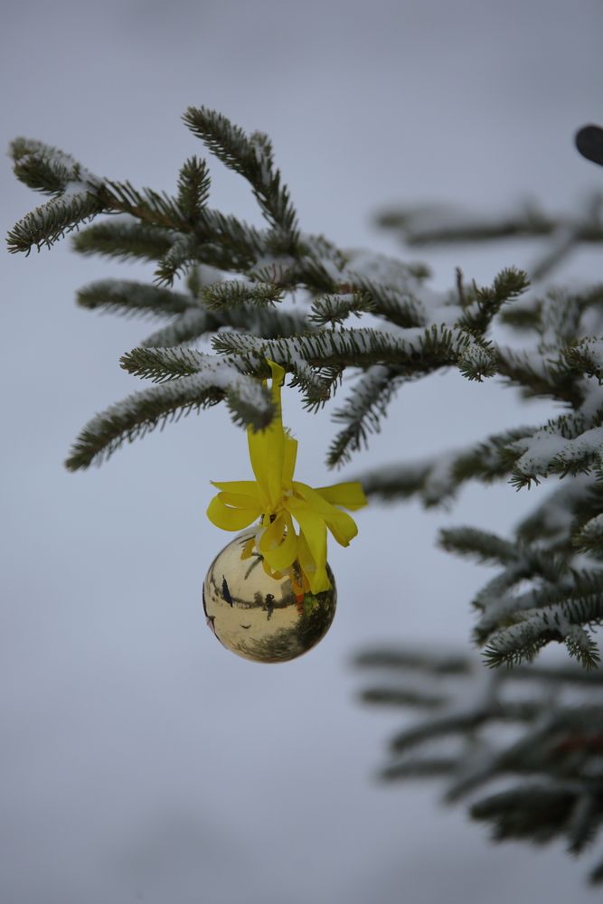Волшебный шар :)