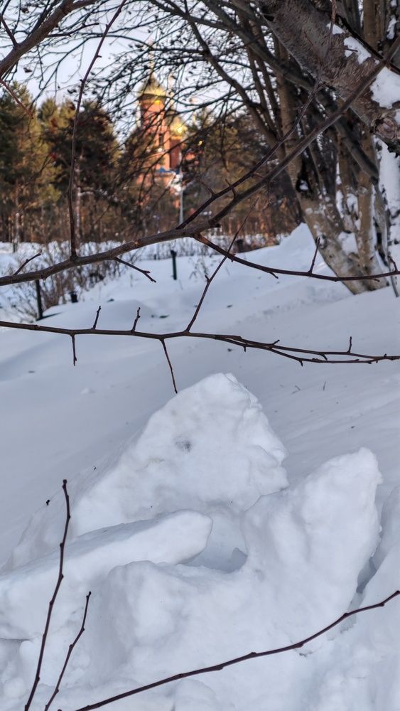 Фотография автора Наталья Шендяпина