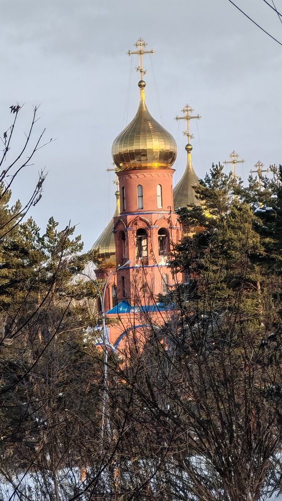 Фотография автора Наталья Шендяпина