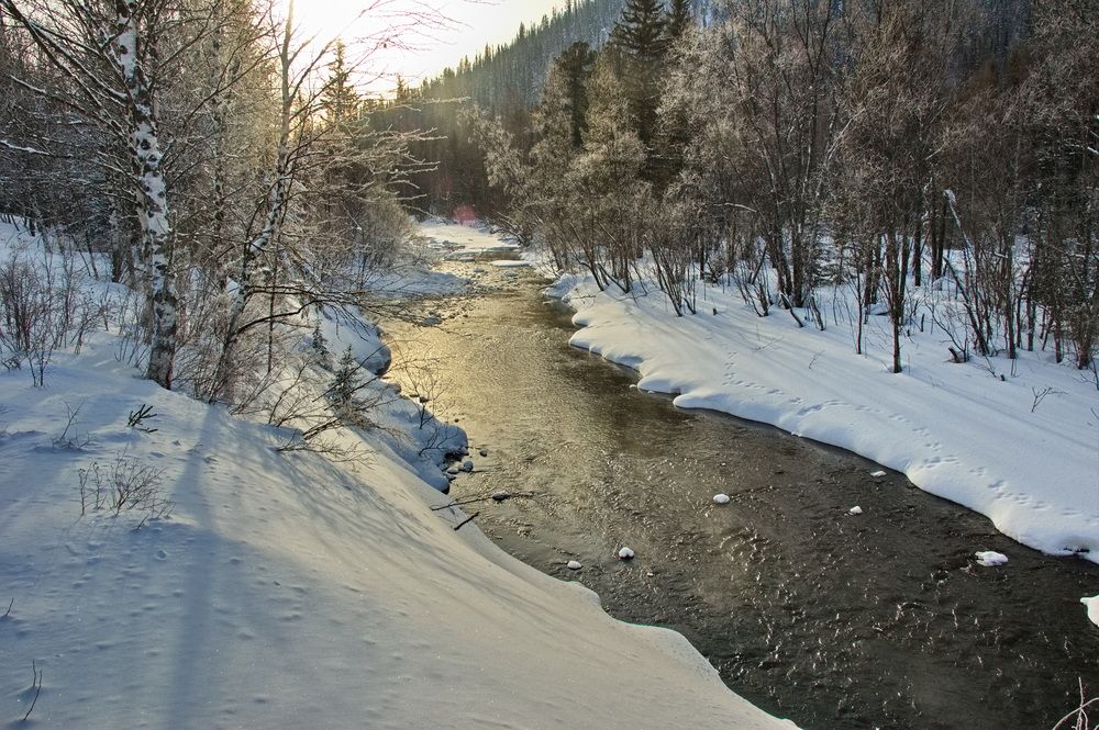 Фотография автора Сергей Тимофеев