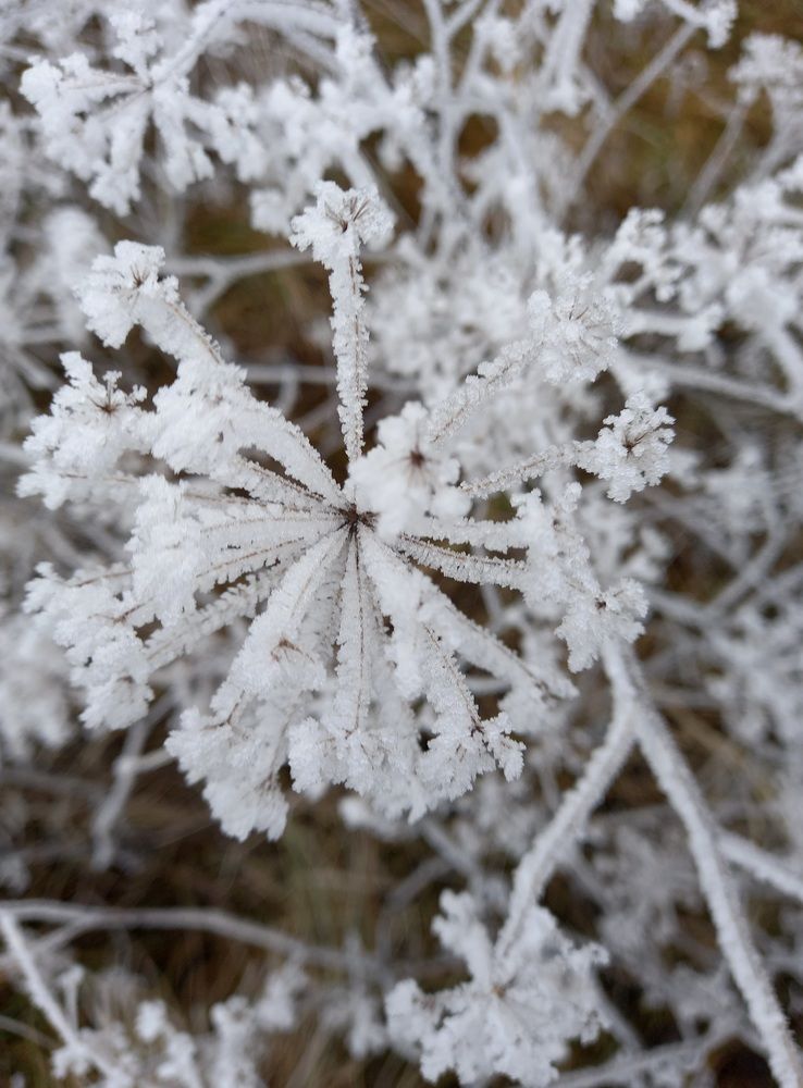 Фотография автора Oksana Podgorodetska