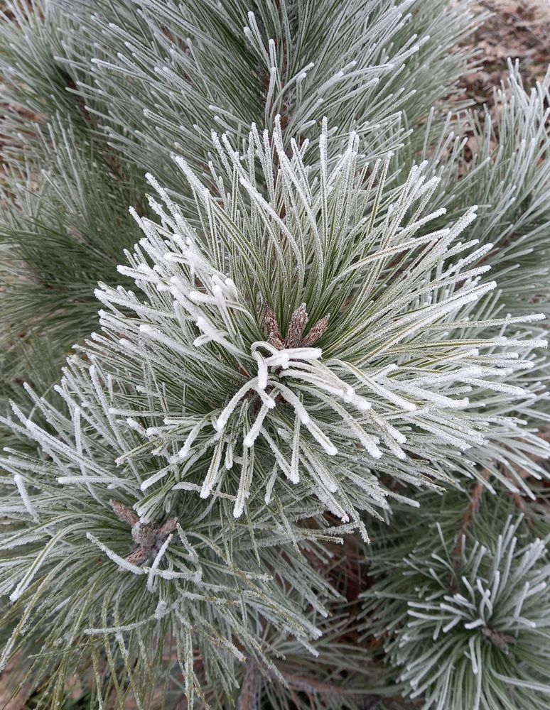 Фотография автора Oksana Podgorodetska