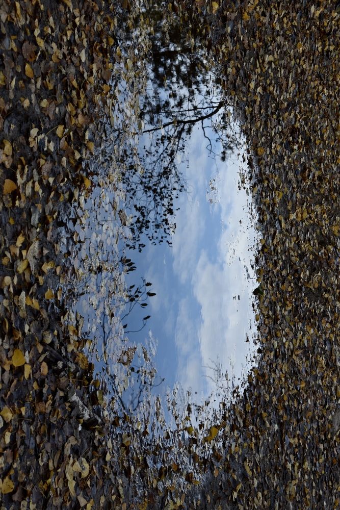 Photograph by Ольга Струкалина