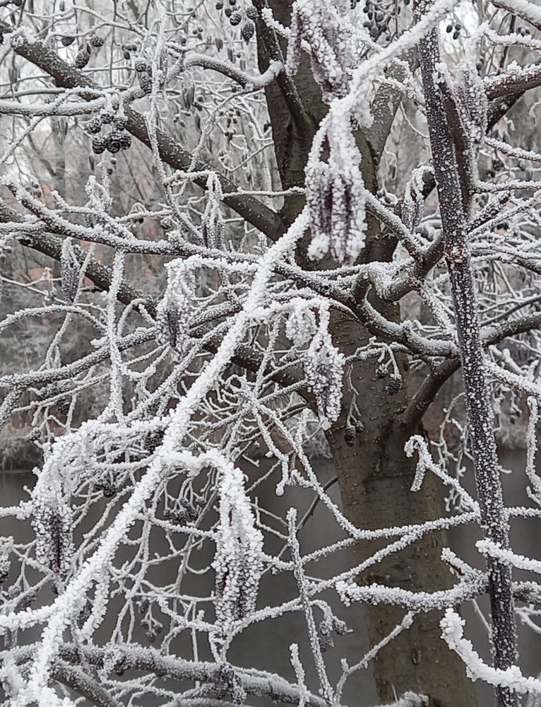 Фотография автора Oksana Podgorodetska