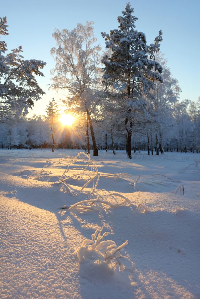 Фотография автора Кухта Мария
