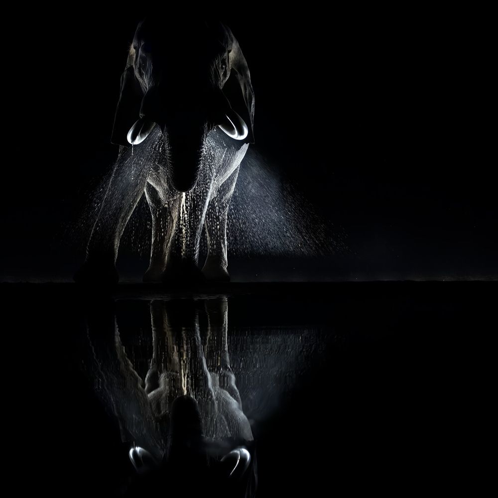 Пульверизатор