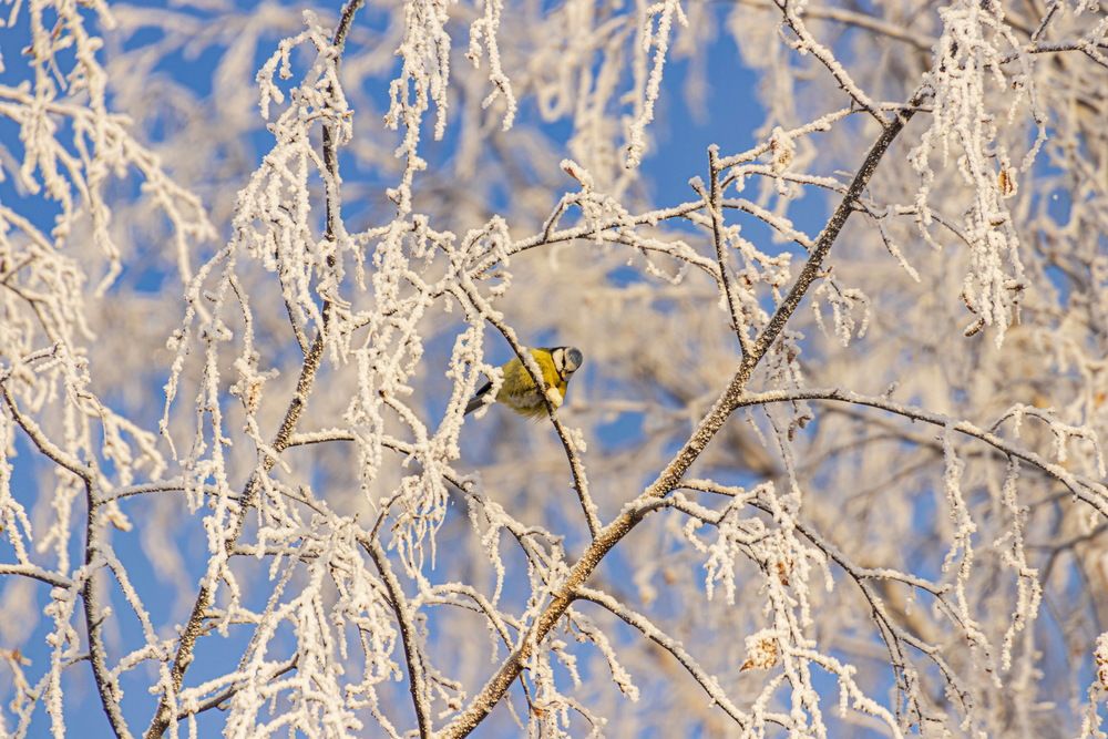 Photograph by Валентина Куренкова