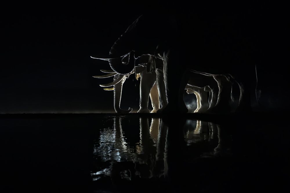 Ночное построение